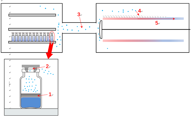 图1-文章figure 1.png